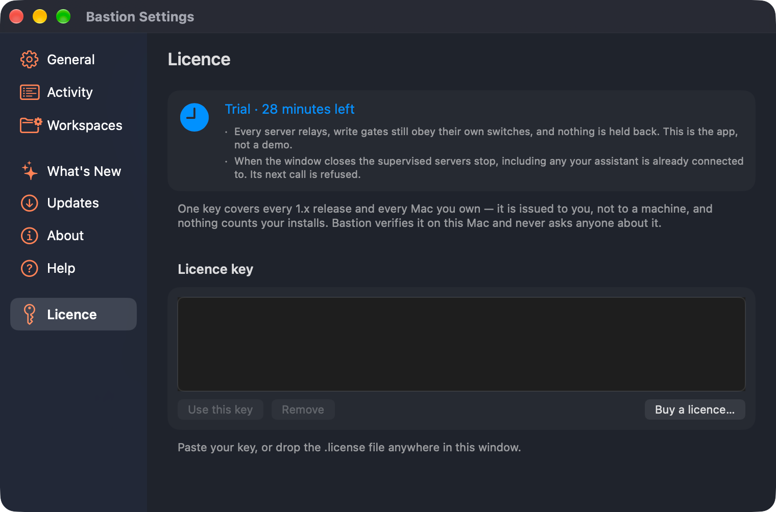 Bastion's Licence settings: a trial with 28 minutes left, the two sentences explaining what runs during it and what stops after, and an empty licence key field.